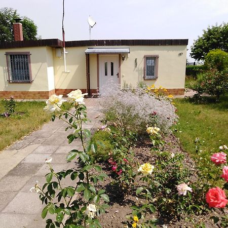 Ferienhaus Kaiserfelder 올베르스도프 외부 사진